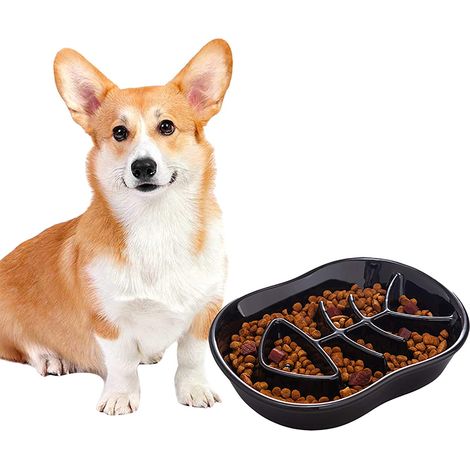 Gamelle en céramique pour chien et chat, gamelle à alimentation lente pour bouledogue, chiot, chien de taille moyenne