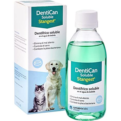 Solubile dengest da deng piМ 250 ml (1/4)