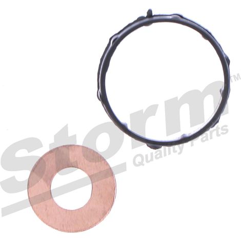 Kit injecteur pour Citroën Xsara 5 portes 55192494 (1/4)