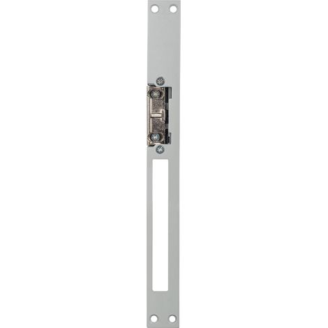 1 - Gâche Électrique Réversible - Têtière Longue 25cm - Acier - Déclenchement Permanent - Rouleau Réglable - Pour Porte D&39entrée Et Portillon