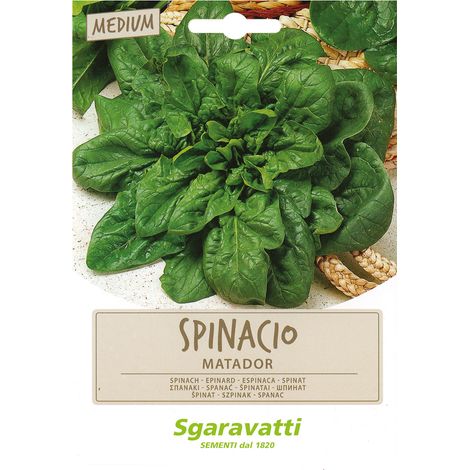 SEMI PER ORTAGGI E VEGETALI spinacio matador Q.TA 10 spinacio matador