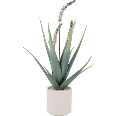 Pianta di cactus artificiale, design realistico, facile da curare, verde (1/2)