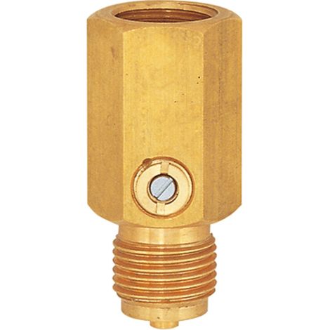 Riegler Stoßminderer für Manometer, G 1/2, PN 400 bar, aus Stahl (1/2)