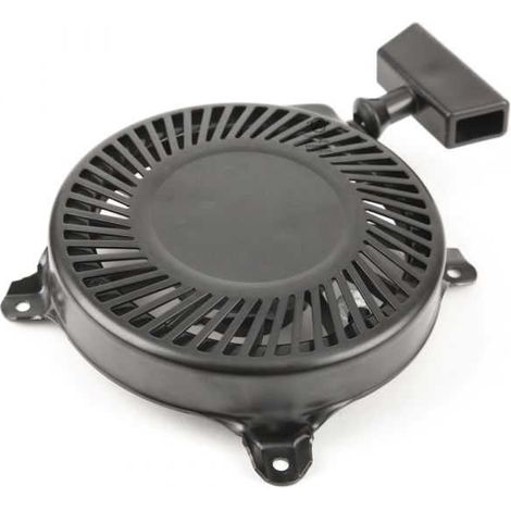 Lanceur pour moteur Briggs & Stratton série 13 (1/5)