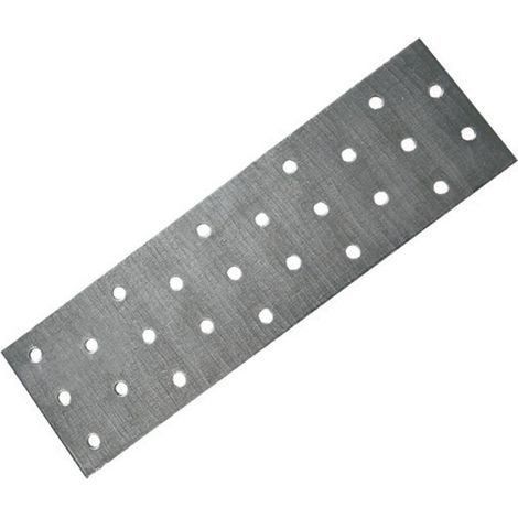 Lochblechstreifen 60x200x2 mm