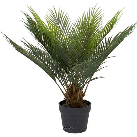 Palmier Cycas artificiel en pot, H 60 cm, D 60 cm (1/3)