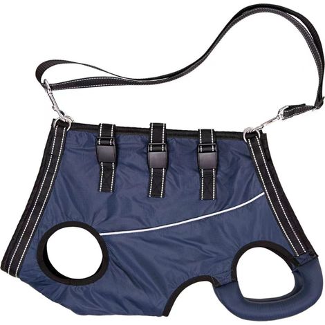 Cinturón de rehabilitación para perros mayores, discapacitados o lesionados, con soporte para las patas traseras. (1/5)