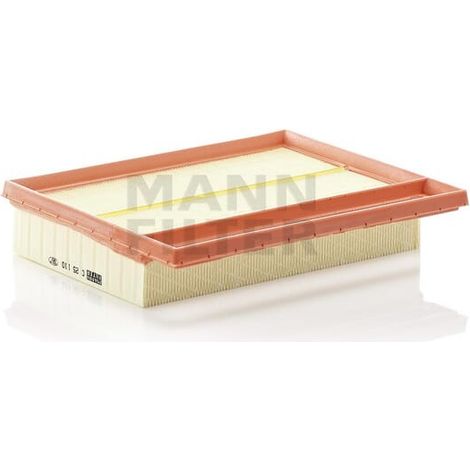Filtre à air MANN-FILTER C251102