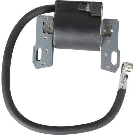 Bobine d'allumage Briggs & Stratton 591420, 793281, 496914, 697038 (1/4)