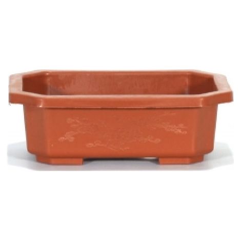 Vaso rettangolare per Piante e Bonsai in plastica marrone cm. 16 (1/2)