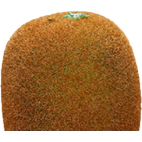 Dekorative Schaumstofffrüchte, künstliche Kiwi-Figur, Lernmaterial für den Kindergarten, Deko-Zubehör