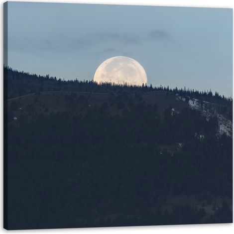 Leinwanddruck „Natur – Aufgehender Mond“, 40 x 40 cm