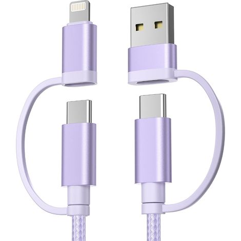 Câble de Charge Multi USBC 1M, 4 en 1 Universel Type C Charge Rapide avec Ports USB A/Lightning pour Mini 6/5 Air 4 Pro 10e Génération, 8/9, Galaxy S10 S9 FE (1/5)
