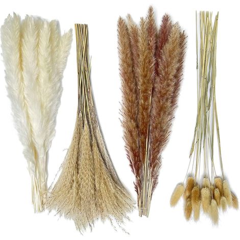 Bouquet d'herbes de la pampa séchées - 80 pièces de 42,5 cm, tiges naturelles blanches, brunes, roseau et queue de lapin pour la maison, les mariages et la décoration bohème (1/5)