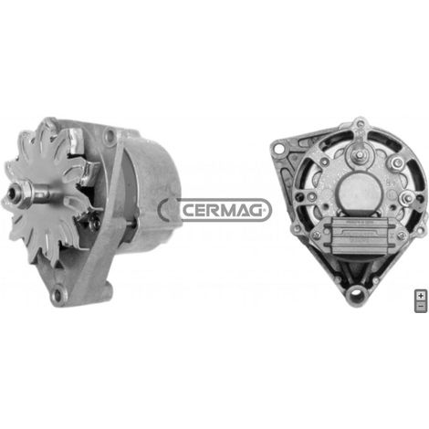 Alternateur pour tracteur agricole CARRARO ANTONIO