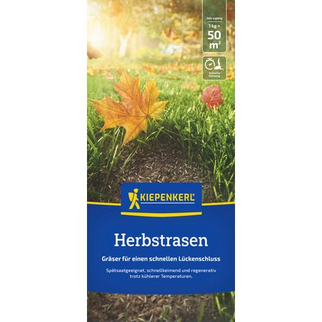 Kiepenkerl Saatgut Kiepenkerl Herbstrasen 1 kg für ca. 50 m²