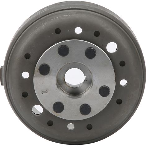 Motormagnet, Stator, Schwungradrotor passend für LIFAN YX 140cc Kickstarter-Motor Pit Trail Dirt Bike Thumpstar (1/5)
