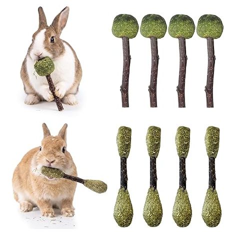 Jouet et Accessoire pour Mâcher, Kit de Sucettes d'Herbe et Bâtonnets de Foin pour Nain, Cochon d'Inde, Hamster et Rongeurs (1/5)
