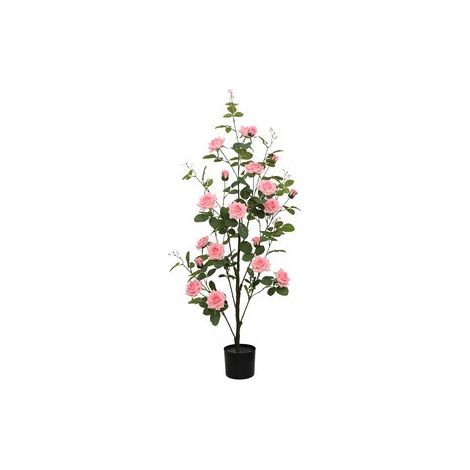 C ROSA 130 CM