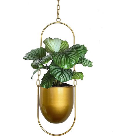 Jardinières suspendues en métal - Pour plantes d'intérieur - Style bohème moderne - Décoration d'intérieur minimaliste - Doré (1/5)