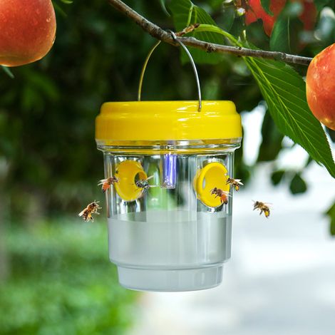Piège à mouches des fruits solaire Lot de 4 unités Dispositif écologique efficace pour extérieur et intérieur sans produits chimiques