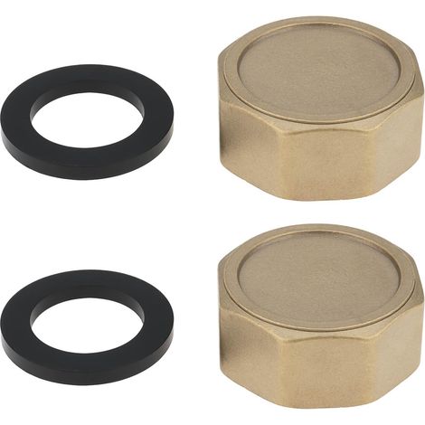 Lot de 2 Bouchons Aveugles en Laiton Filetage Intérieur 1 Pouce (DN25) avec Rondelle D'étanchéité pour Robinet de Collecteur D'eau de Pluie Ou de Radiateur. (1/5)