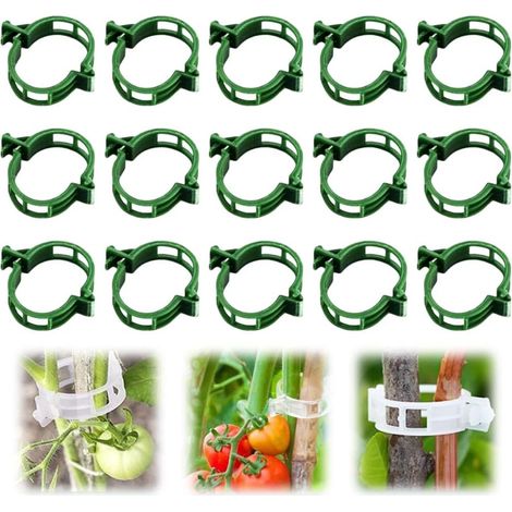 Clips de fixation en plastique pour plantes grimpantes, supports en plastique pour maintenir les plants de tomates, de vignes et de légumes (50 pièces vertes) (1/5)