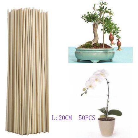 Barre de bambou barre de support de croissance des plantes petit bonsaï branche de vigne DIY outil de jardinage 3mm 20cm 50pcs (1/4)