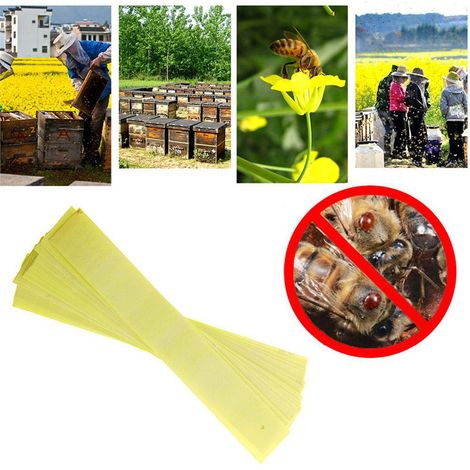 Lot de 40 bandes Fluvalinate anti-varroa pour apiculture, traitement des acariens (1/5)