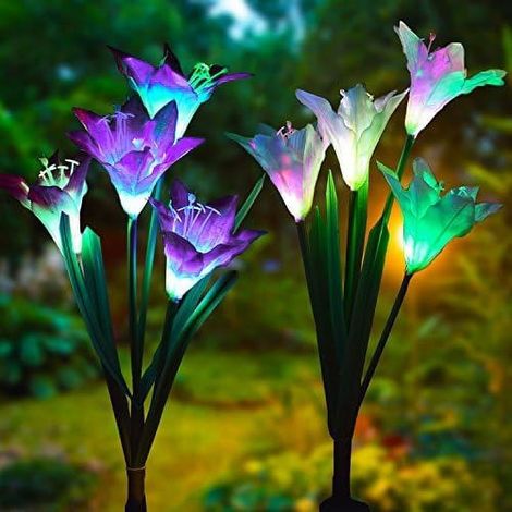 Luminaire Solaire Jardin - Lampe à LED Changeante Couleur - Étanche IP65 - Pour Extérieur Jardin Pelouse Allée - 2 Pièces (1/5)