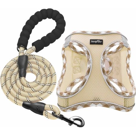 Harnais pour Chien avec Laisse Réglable et Confortable, Gilet de Poitrine Respirant avec Bandes Réfléchissantes pour Petits et Moyens Chiens (1/5)
