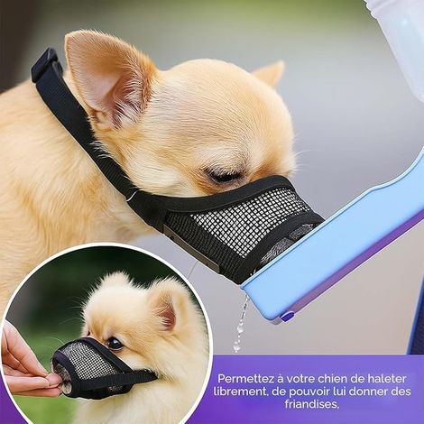 Muselière pour Petit Chien – Muselière Anti-Morsure pour Petit Chien, Maille Souple et Respirante, Anneau pour Laisse, Usage Quotidien et Voyage (XS) (1/4)