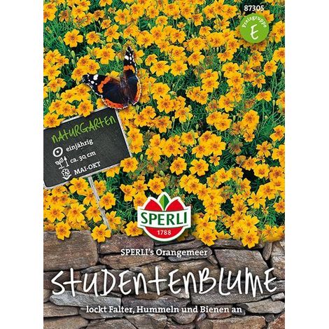 Sperli Studentenblumen Tagetes SPERLI's Orangemeer - Blumensamen (1/4)