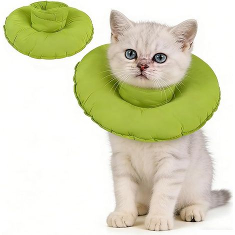 Collier conique pour chat