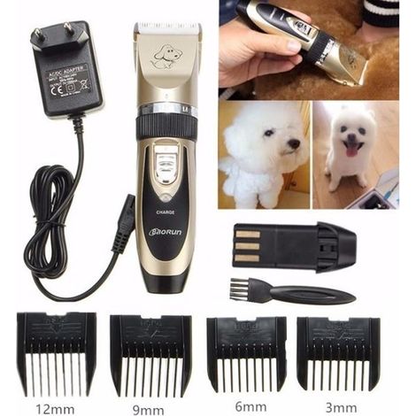 Tondeuse électrique pour chien et chat avec 4 peignes de coupe - Toilettage facile (1/3)
