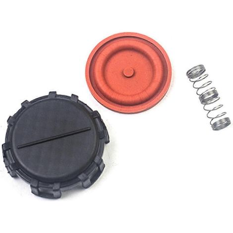remplacement de la soupape d'échappement Berlingo 1.6 HDI (1/5)