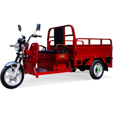 LEDANDER Tricycle électrique  Véhicule de transport motorisé  Autonomie de 60 km  Charge utile de 200 kg  Tricycle cargo robuste — Rouge