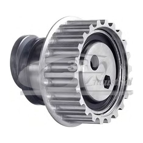 3RG 13107 RODILLO TENSOR