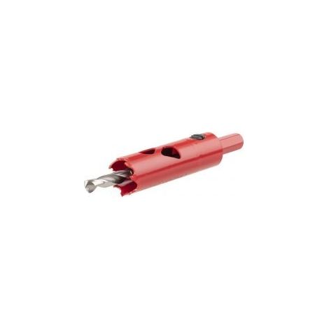 WOLFCRAFT BROCA CORONA C/EJE 20 5462