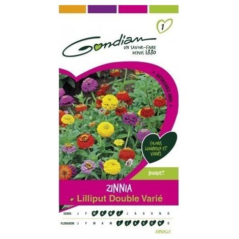 Gondian - Zinnia Lilliput Double Varié