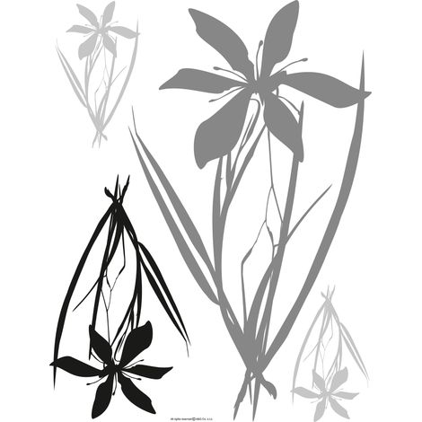 sticker mural fleurs gris et noir  - Sanders & Sanders