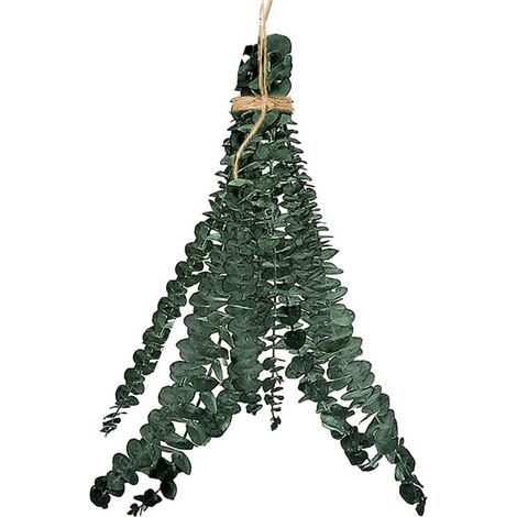 Bouquet d'Eucalyptus Séchés et Préservés, Tiges Véritables pour Décoration de Douche et Arrangement