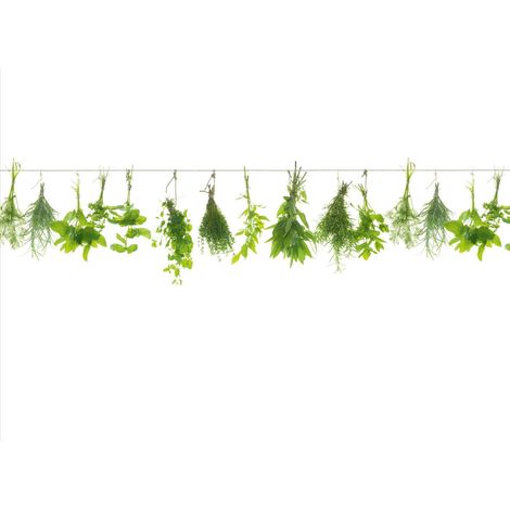 Küchenrückwand WandArt easy 80 x 58,5 cm, 3 mm, herbs line Spritzschutz (1/2)
