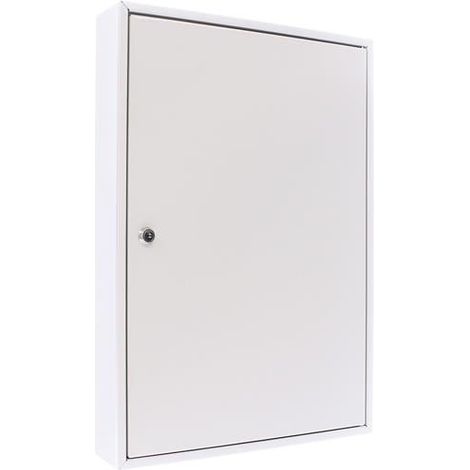 Armario de llaves S 50 H550xA380xF80mm 1 puerta cerradura cilindro Cantidad ganchos 50 ROTTNER (1/2)