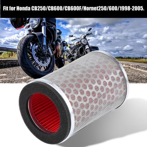Filtre à air moto nettoyable pour Honda CB250, CB600, CB600F Hornet 250/600, 1998-2005, élément à huile, haute performance (1/5)