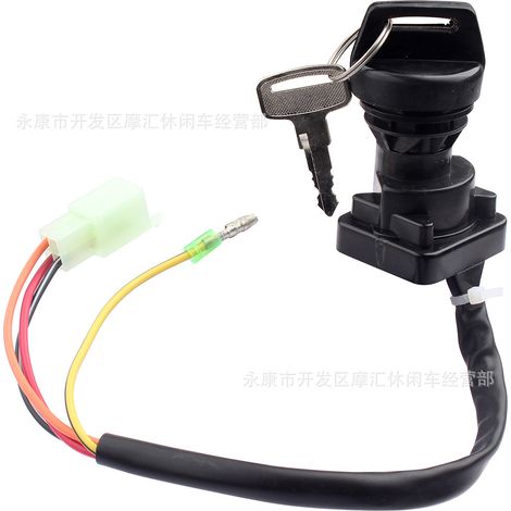 Compatible avec le démarreur et la clé de contact du Suzuki King Quad Runner LTF250F LT4WD (1/5)