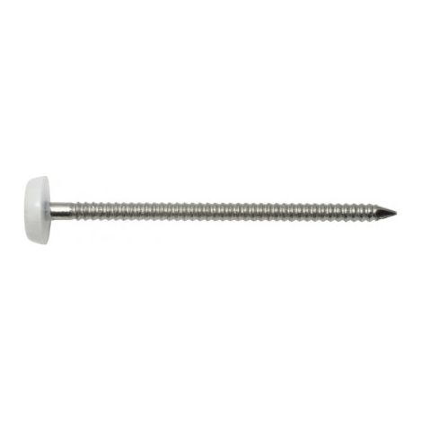 Spitze Edelstahl A4 3.1x65 mm Kopf weiß - 200 Stück - SWG