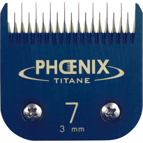 Tête de coupe N°7 Phoenix Céramique