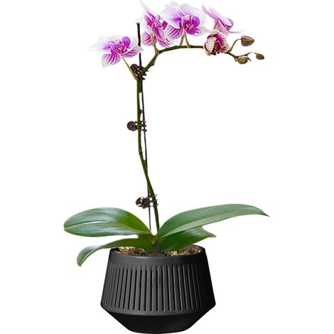 agents d entretien pour orchidées Pots avec schlitzen Geruch