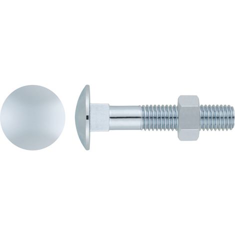 DIN 603/934 - VITE + DADO. ZINCO 06X130 ( 100 pz.)
